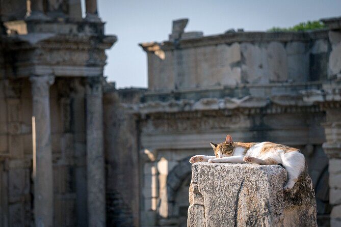 NEW: Private The Most Detailed Ephesus Shore Excursion / with Lunch - Who Is This Tour Best For?