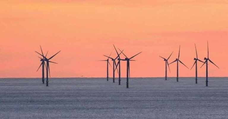 Newhaven: Rampion Offshore Wind Farm Boat Tour - Who Is This Tour Best Suited For?