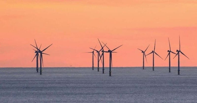 Newhaven: Rampion Offshore Wind Farm Boat Tour - Who Is This Tour Best Suited For?