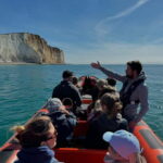 Newhaven: Seven Sisters and Birling Gap Boat Tour - An In-Depth Look at the Experience