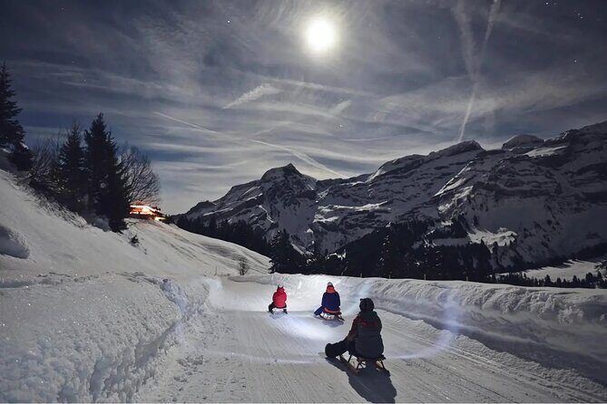 Night Sledding and Fondue Feast Interlaken - Analyzing the Value: Is It Worth It?