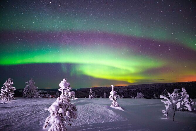 Night Snowshoeing Adventure under the Northern Lights - Why This Tour Works Well