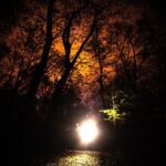 Night Tour in Hoia Baciu Forest - The Sum Up: Is This Night Tour Worth It?