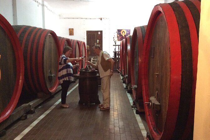 Nis Sightseeing Tour - Guided Experience: Knowledgeable, Friendly, and Flexible