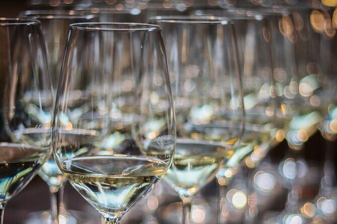 Non-Alcoholic Wine Tasting with an Expert - Who Will Love This Tour?