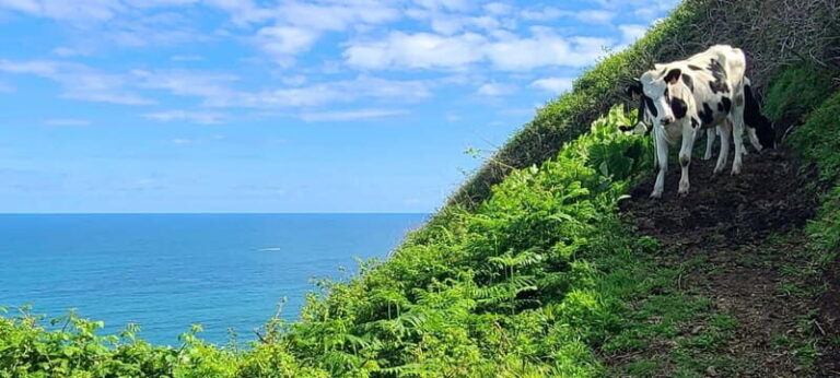 Nordeste/Northeast coast FULL DAY Waterfalls Hike - A Closer Look at the Nordeste Waterfalls Hike