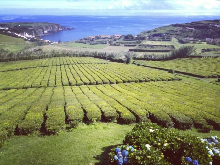 Nordeste Private Tour (2 people) - What to Expect: Practical Details