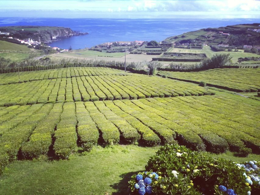 Nordeste Private Tour (2 people) - What to Expect: Practical Details