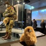 Normandy D-day landing beaches & Caen Memorial Private Tour - Final Thoughts