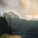 North of Montenegro Private Tour - Tara Canyon & National Parks - Why This Tour Offers Great Value