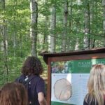 NORTH TOUR Np Biograd Gora-Lake-Moraca Canyon & Monastery-Kolasin - Authentic Insights from Tour Reviews