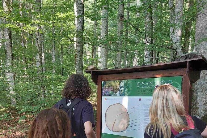 NORTH TOUR Np Biograd Gora-Lake-Moraca Canyon & Monastery-Kolasin - Authentic Insights from Tour Reviews