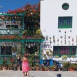 North Tour, Viewpoint, Brunch, White beach & lava pools - The Practical Side: Transport, Timing & Value