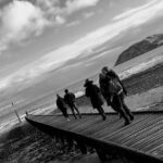 North Wales Adventure Sightseeing Day Trip from Liverpool - What Reviewers Loved (and Not)