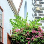 North West Tenerife Secrets - Authentic Experiences from Fellow Travelers