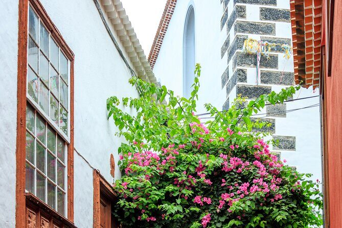 North West Tenerife Secrets - Authentic Experiences from Fellow Travelers