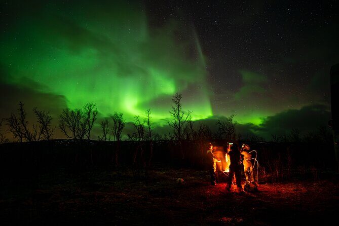 Northern light hunt in Tromsø. WiFi included - Who Is This Tour Best For?