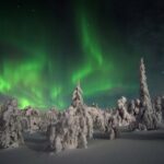 Northern Light Safari by Snowmobiles From Levi - The Experience in Detail