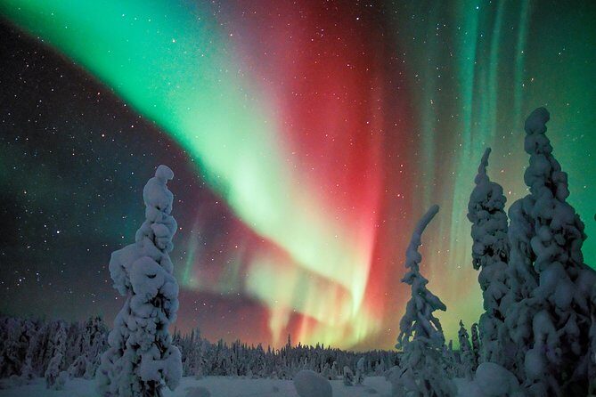 Northern Lights Aurora Tour from Kemi - FAQ