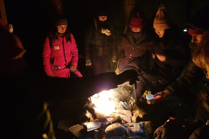 Northern Lights Auroras from Kemi-Tornio with Pickup - Final Thoughts: Is It Worth It?