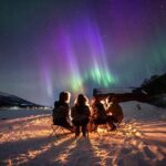 Northern Lights Expedition with Arctic Photo Guide max 6 guests - Daylight and Nighttime: What to Expect
