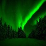 Northern Lights Hunting Adventure in Lapland - The Guides and Their Expertise