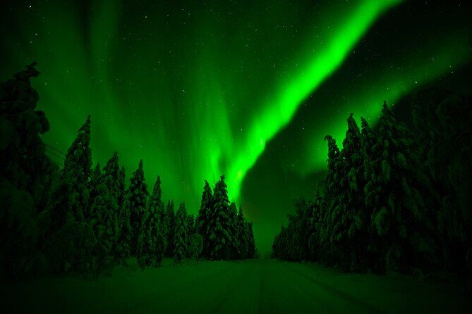 Northern Lights Hunting Adventure in Lapland - The Guides and Their Expertise