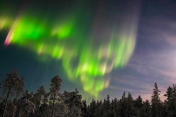 Northern Lights Hunting Photo Tour in Ylläs - Who Should Consider This Tour?