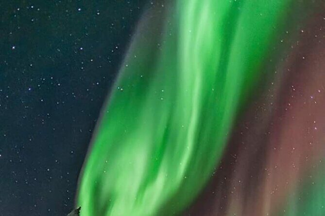 Northern Lights Hunting Tour Rovaniemi - What’s Included and What to Expect