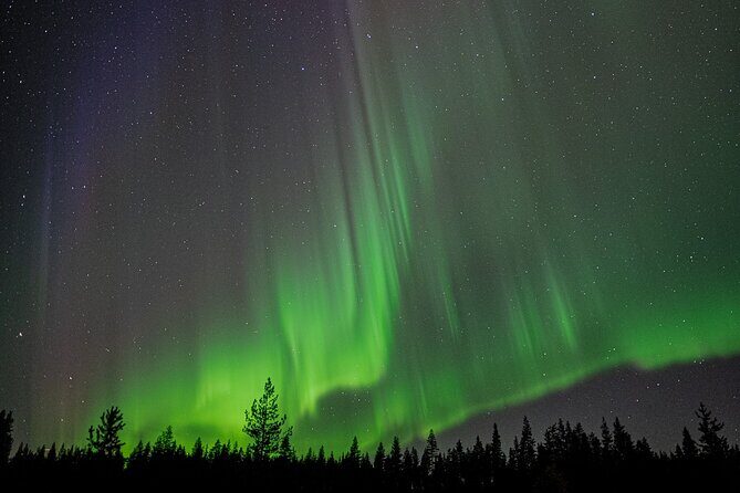 Northern Lights Hunting with a photographer (Only small groups) - Who Is This Tour Best Suited For?