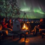 Northern Lights Husky Visit - What Reviewers Say