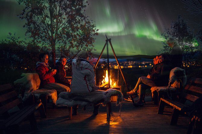 Northern Lights Husky Visit - What Reviewers Say