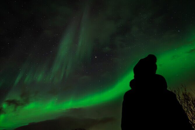 Northern Lights in Focus Tour by Minibus, German/ English, Meal - Arctic Wilderness & Snowy Vistas