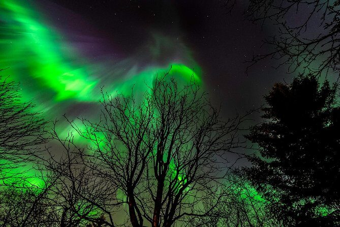 Northern Lights Tour from Reykjavik with Lifetime Guarantee - Frequently Asked Questions