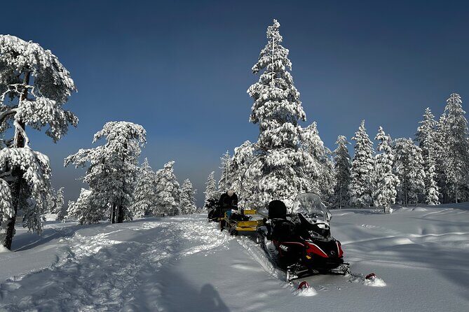 Northern Lights Tour Snowmobile Driving - An In-Depth Look at the Tour