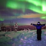 Northern Lights Wilderness Small-Group Tour from Rovaniemi - Transportation and Logistics
