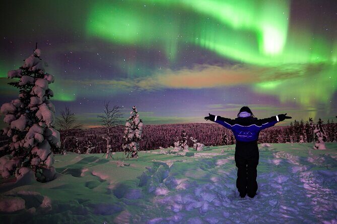 Northern Lights Wilderness Small-Group Tour from Rovaniemi - Transportation and Logistics