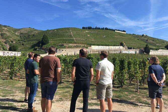 Northern Rhône Valley From Lyon Full day - The Experience: What Sets It Apart