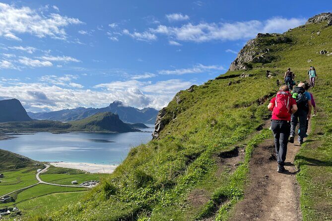 Norway Lofoten Private Shore Excursion from Leknes - The Experience: A Detailed Look at the Itinerary