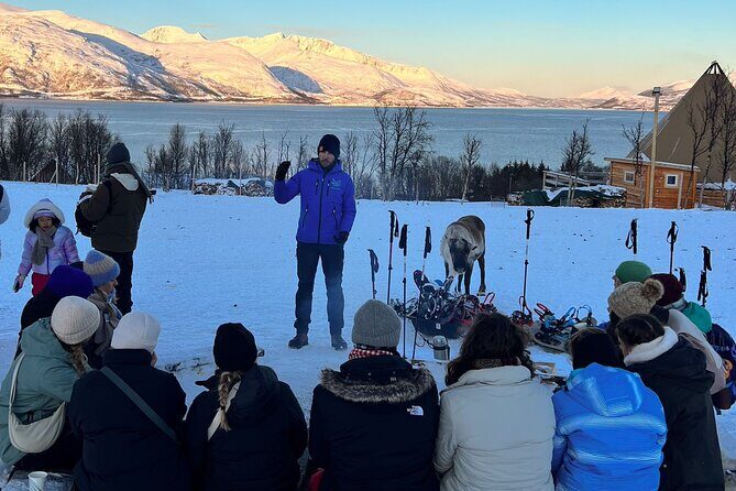 Norway Troms Snowshoe Activity with Guided Tour - Feeding Reindeer: A Personal Touch