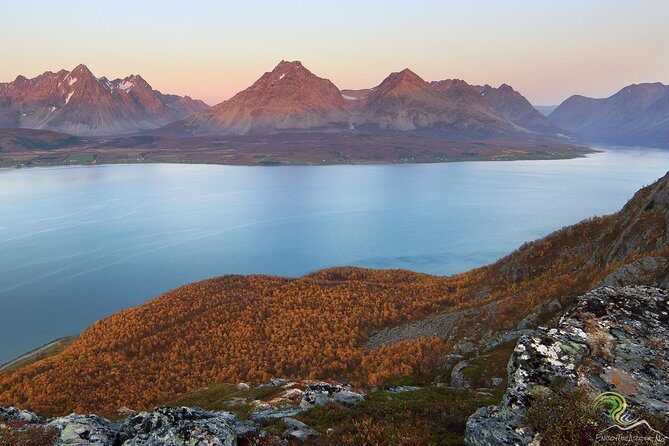 Norwegian Fjords Tour, Including Professional Photos in Tromso - What Makes This Tour Stand Out?