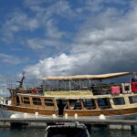 Novigrad: Sunset Dolphin Watching Boat Tour by Matek - Setting Sail from Novigrad: What to Expect