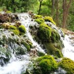 NP Krka waterfalls & Wine tasting - Private day tour from Split - The Winery Experience: A Taste of Dalmatia