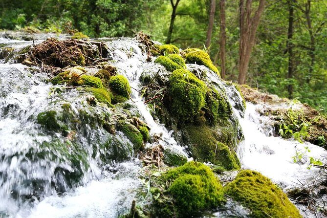 NP Krka waterfalls & Wine tasting - Private day tour from Split - The Winery Experience: A Taste of Dalmatia