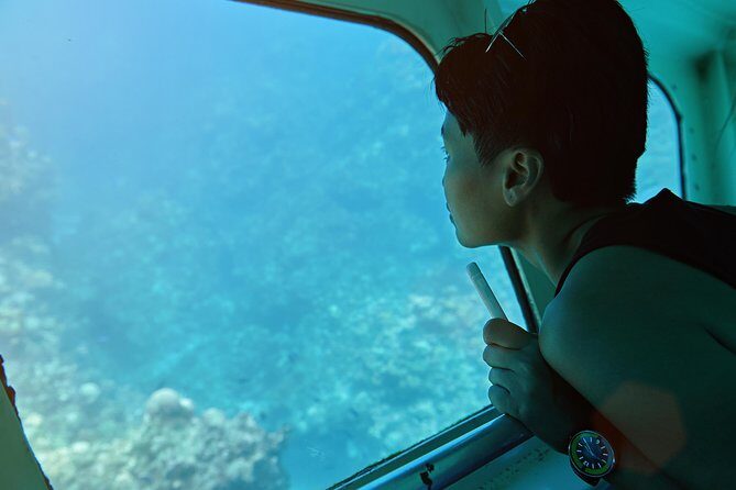 Odyssee 3: The Glass Bottom Boat Tour in Fuerteventura - Who Should Consider This Tour?