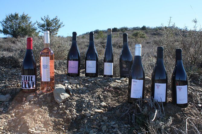 Oenological workshops at La Selve - The Group Experience and Practical Details