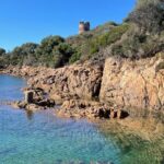 of Sagone/Cargèse Cruise Walk Swimming and Leisure - In-Depth Look at the Itinerary