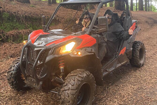 Off-Road Buggy Driving Experience - The Authentic Touch: What Reviewers Love Most