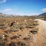 Off-road tour in the Supramonte and visit to Pischina Gurthàddala - How the Tour Works for Different Travelers