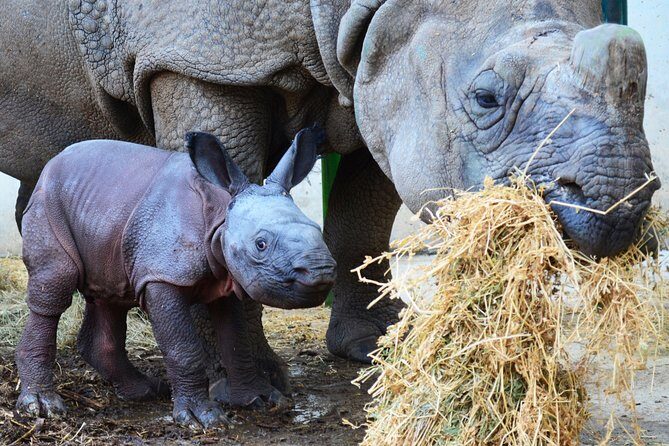 Offer Summer Terra Natura entrance ticket - Why Book the Prepaid Ticket?